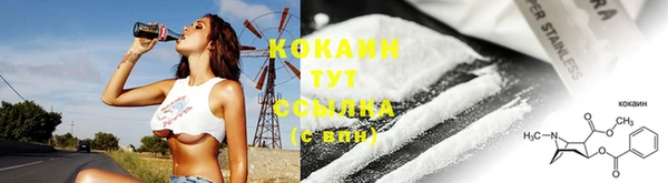 мдпв Гусев