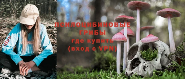 ПСИЛОЦИБИНОВЫЕ ГРИБЫ Армянск