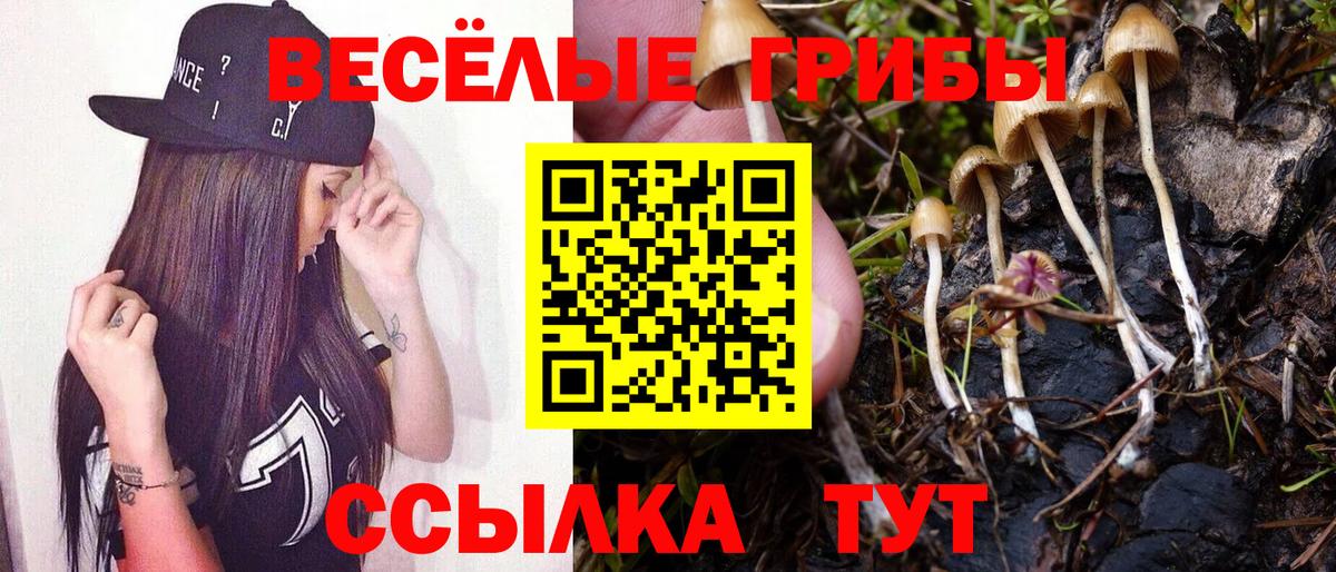 Электрогорск  Псилоцибиновые грибы GOLDEN TEACHER  Псилоцибиновые грибы мухоморы  Вход с VPN 
