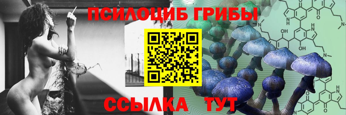 Псилоцибиновые грибы GOLDEN TEACHER Электрогорск